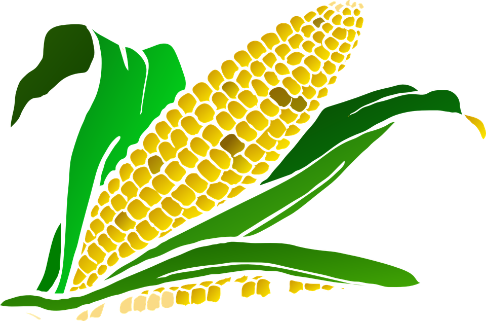 Dry Corn Milling J-Six Enterprises