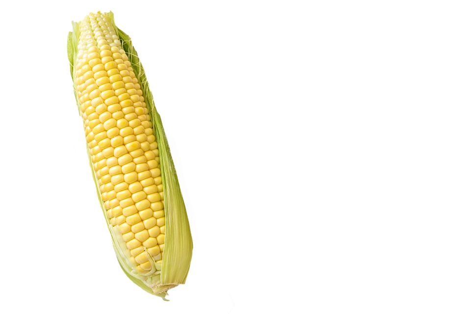 Dry Corn Milling